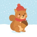 Cute Winter Squirrel with Acorn Royalty Free Stock Photo