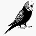 Budgerigar bird silhouette vector illustration on white background Royalty Free Stock Photo