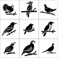 Collection of nine black and white bird silhouettes perched on branches in a square grid pattern Royalty Free Stock Photo