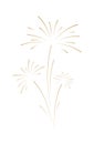 Golden fireworks, isolated on a white background, beautiful vector holiday illustration Royalty Free Stock Photo