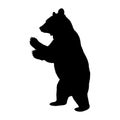 Silhouette of a bear standing upright Royalty Free Stock Photo