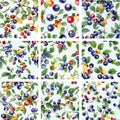 Vintage Watercolor Blueberry Pattern Collection. Seamless Tile Set for Fabric, Wallpaper & Digital Paper. Royalty Free Stock Photo