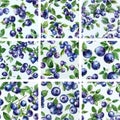 Vintage Watercolor Blueberry Pattern Collection. Seamless Tile Set for Fabric, Wallpaper & Digital Paper. Royalty Free Stock Photo