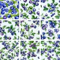 Vintage Watercolor Blueberry Pattern Collection. Seamless Tile Set for Fabric, Wallpaper & Digital Paper. Royalty Free Stock Photo