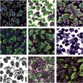 Elegant Dark Floral Wallpaper. Watercolor Blackberry Vine Seamless Repeat Vector Set Royalty Free Stock Photo