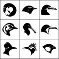 Full Profile Bird Silhouettes: Complete Head Shape and Neck Outlines Royalty Free Stock Photo