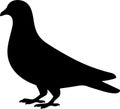 Pigeon bird Silhouette vector illustration of standing dove profile for design Royalty Free Stock Photo