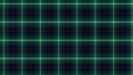 Checkered tartan plaid with twill weave repeat pattern in green black white.Christmas gingham seamless pattern. Royalty Free Stock Photo