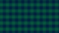Checkered tartan plaid with twill weave repeat pattern in green black white.Christmas gingham seamless pattern. Royalty Free Stock Photo