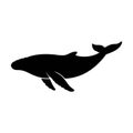whale silhouette Illustration design Royalty Free Stock Photo