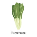 Komatsuna Flat Cartoon Vector Illustration Isolated on White Background Royalty Free Stock Photo