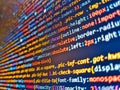 Web or application development, business and technology concept. Software developer programming code on computer. Hacker api text Royalty Free Stock Photo