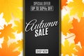 Web banner for Autumn sale. Advertising seasonal banner. Invitation greeting card. Calligraphy and lettering. Orange maple leaves. Royalty Free Stock Photo