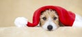 Web banner of a cute christmas santa pet dog puppy with copy space Royalty Free Stock Photo