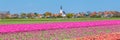 Skyline Den Hoorn Texel the Netherlands Royalty Free Stock Photo