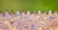 Web banner of a rusty saw blade close-up Royalty Free Stock Photo