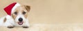 Web banner of a smiling christmas holiday happy cute santa pet dog puppy