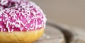 Sweet pink donut cake - junk food concept, banner