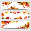 Web banners with colorful autumn leaves. Vector illustration Royalty Free Stock Photo