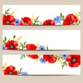 Web banners with poppies and cornflowers. Vector eps-10. Royalty Free Stock Photo