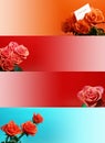 Web banners with rose Royalty Free Stock Photo