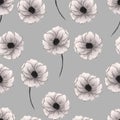 Beautiful poppies isolated on gray background. Floral seamless Pattern. Summer backdrop.Can be used for textile,wallpaper,print Royalty Free Stock Photo