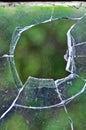 A web in a broken glass of a windows Royalty Free Stock Photo