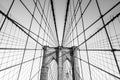 The web of cables of Brooklyn bridge in black and white, New York, USA Royalty Free Stock Photo