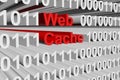 Web cache