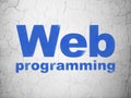 Web design concept: Web Programming on wall background