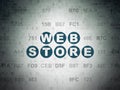 Web design concept: Web Store on Digital Data Paper background Royalty Free Stock Photo