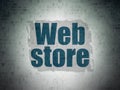 Web design concept: Web Store on Digital Data Paper background Royalty Free Stock Photo