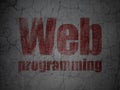 Web design concept: Web Programming on grunge wall background Royalty Free Stock Photo