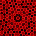 Web design. Red black hexagon pattern background. Modern flat digitally rendered graphic. Abstract geometric shape. Unique style. Royalty Free Stock Photo