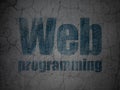 Web development concept: Web Programming on grunge wall background