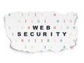 Web development concept: Web Security on Torn Royalty Free Stock Photo