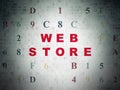 Web development concept: Web Store on Digital Data Paper background Royalty Free Stock Photo