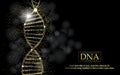 Web DNA sequence, DNA code structure Royalty Free Stock Photo
