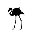 Flamingo black vector silhouette Royalty Free Stock Photo