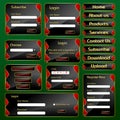 Web Form Template with Casino concept