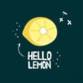 Fresh cut lemon hand drawn vector illustration