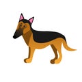 German shepherd cartoon dog vector Royalty Free Stock Photo