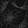 Web, halloween. Spider web on black background. Isolated vector. Royalty Free Stock Photo