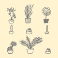 Houseplants set. Hand drawn vector Royalty Free Stock Photo