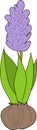 Hyacinth icon in cartoon style