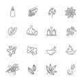 Web icon set - spices, condiments and herbs