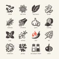 Web icon set - spices, condiments and herbs Royalty Free Stock Photo
