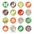 Web icon set - spices, condiments and herbs Royalty Free Stock Photo