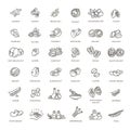 Web icons collection - nuts, beans and seed.