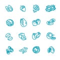 Web icons collection - nuts, beans and seed.